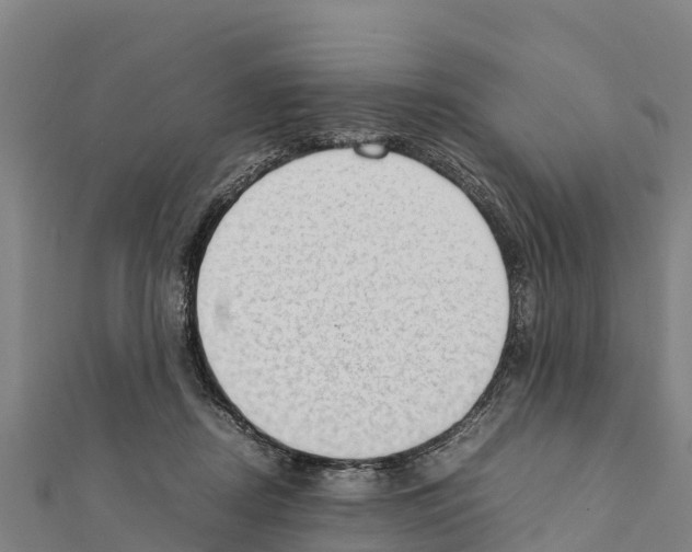 X0000111390362200908211407