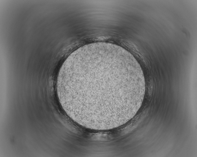 X0000111390366200908211407