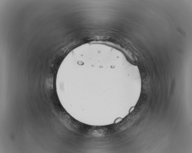 X0000111390368200908211407