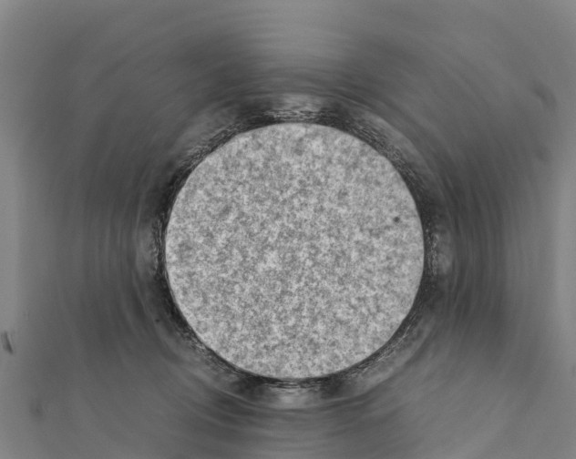 X0000111390370200908211407
