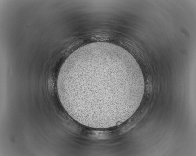 X0000111390371200908211407