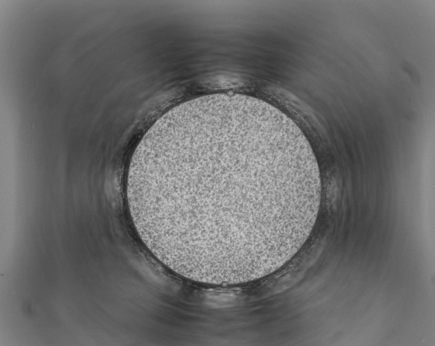 X0000111390373200908211407
