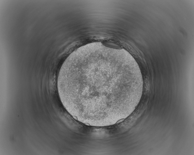 X0000111390376200908211407