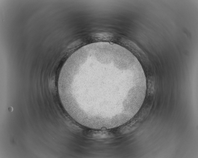 X0000111390377200908211407