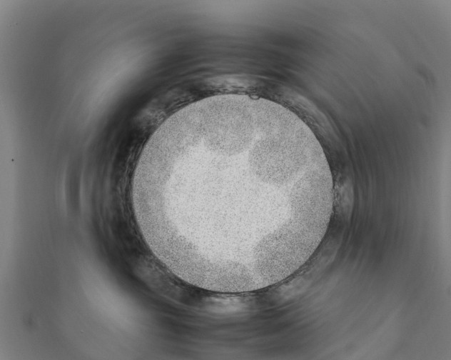 X0000111390381200908211407