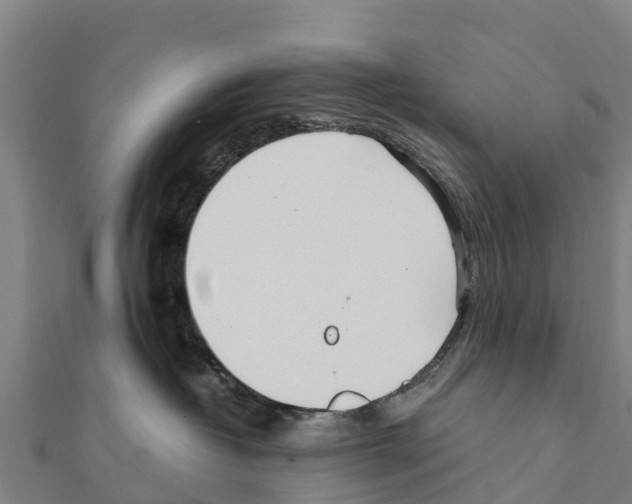 X0000111390382200908211407