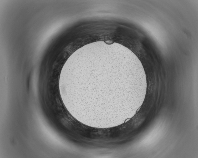 X0000111390383200908211407