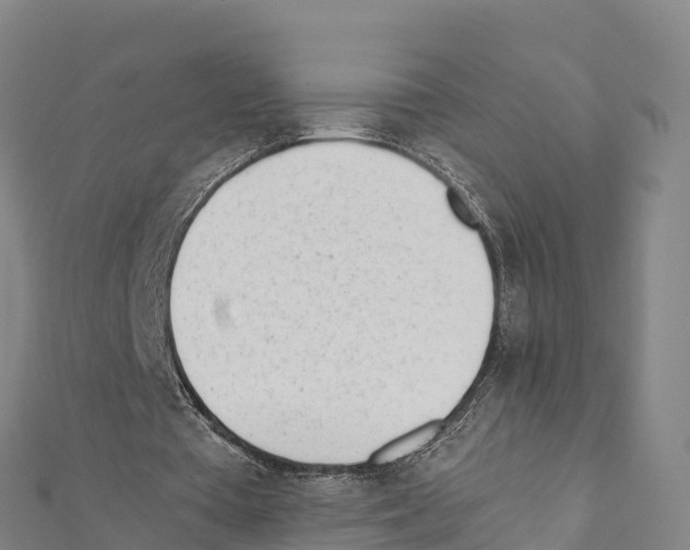 X0000111390385200908211406
