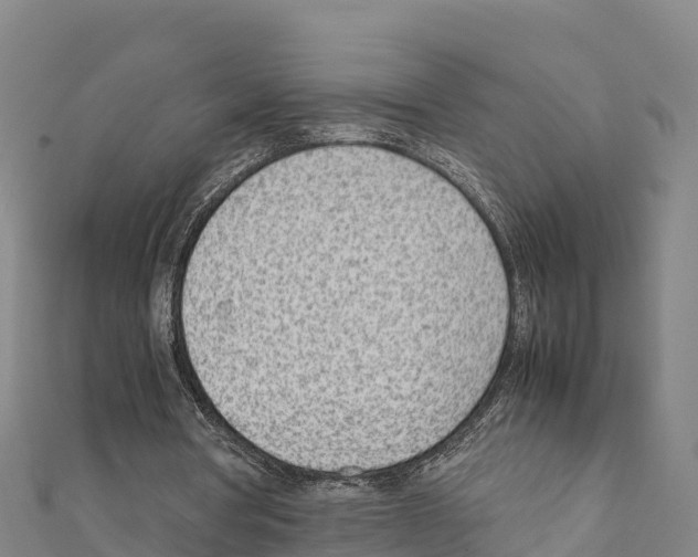 X0000111390386200908211406