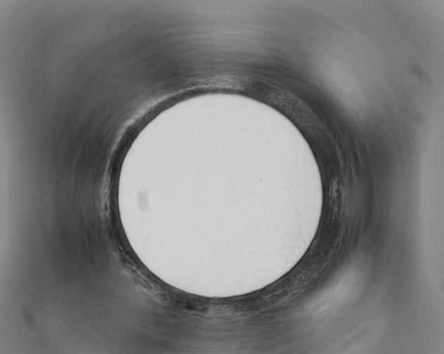 X0000111390388200908211406