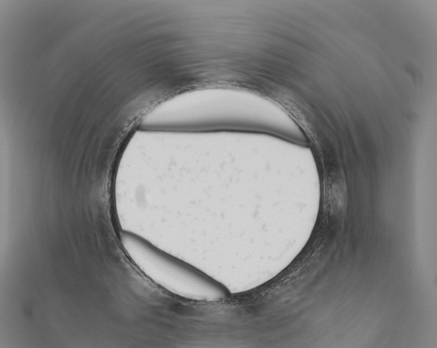 X0000111390389200908211406