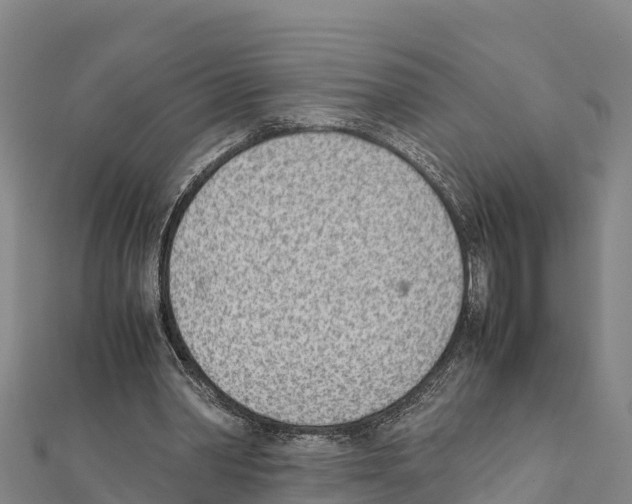 X0000111390390200908211406