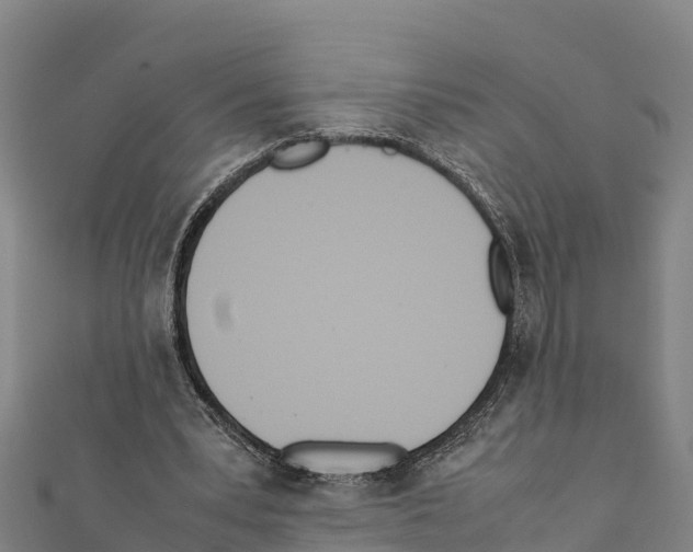 X0000111390391200908211406