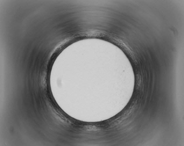 X0000111390392200908211406