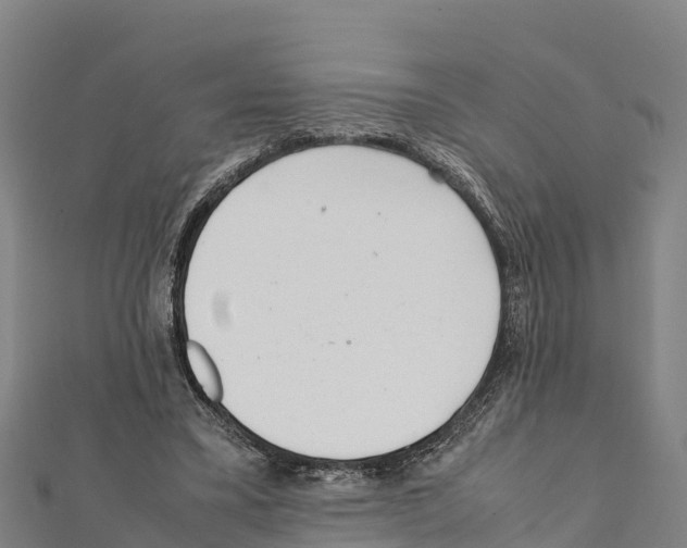 X0000111390395200908211406