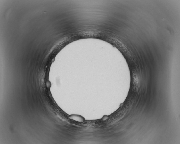 X0000111390396200908211406