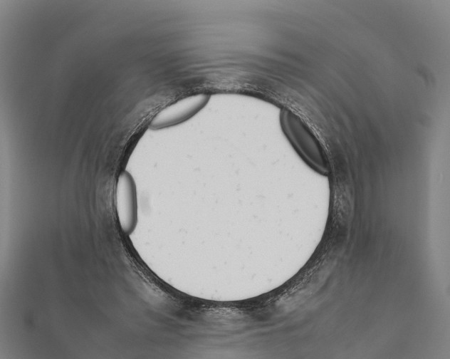 X0000111390397200908211406