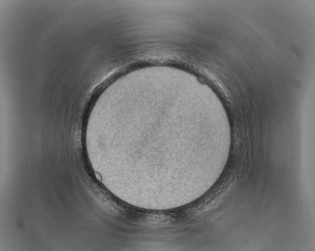 X0000111390399200908211406
