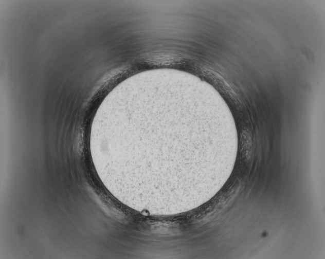 X0000111390400200908211406