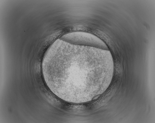 X0000111390401200908211406
