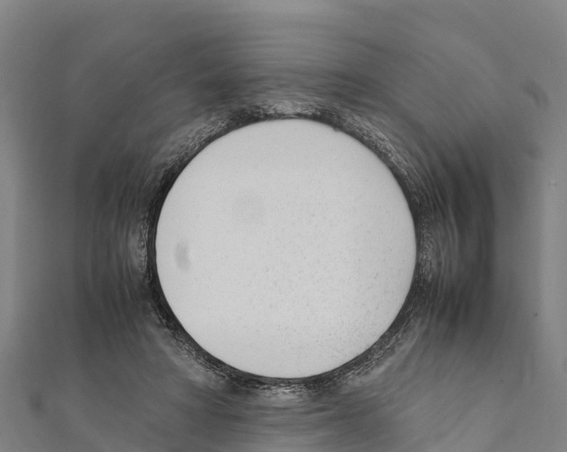 X0000111390402200908211406