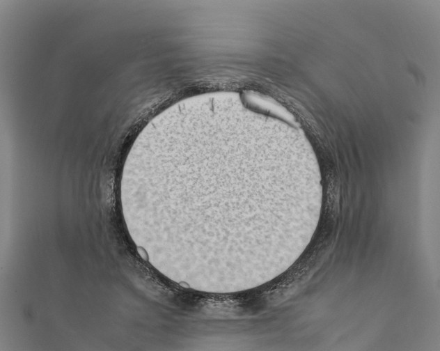 X0000111390403200908211406