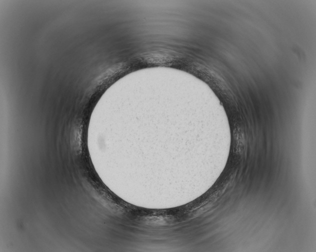 X0000111390404200908211406