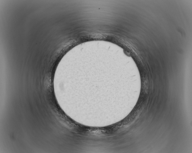 X0000111390407200908211406