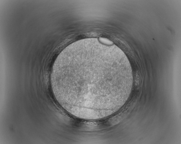 X0000111390409200908211406