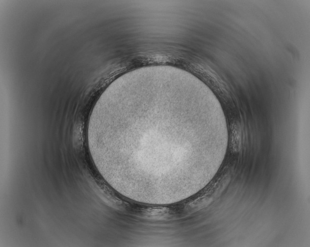X0000111390410200908211406