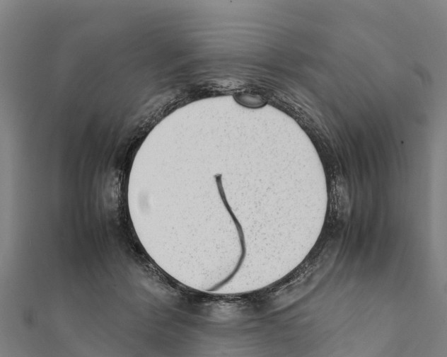 X0000111390412200908211406