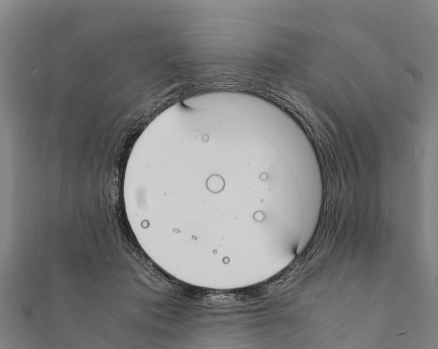 X0000111390413200908211406