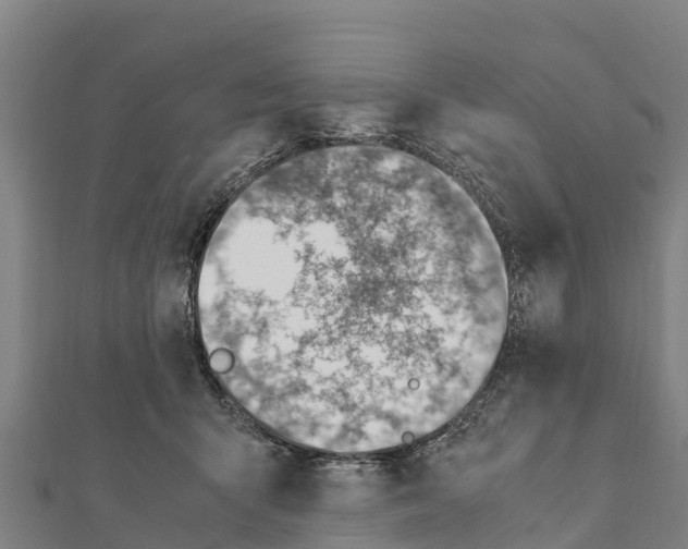 X0000111390415200908211406