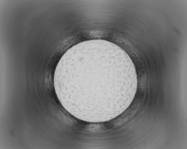 X0000111390418200908211406