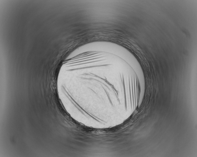 X0000111390419200908211406