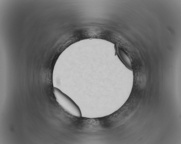 X0000111390421200908211406