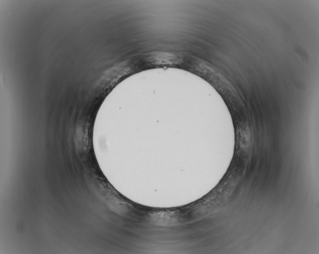 X0000111390422200908211406