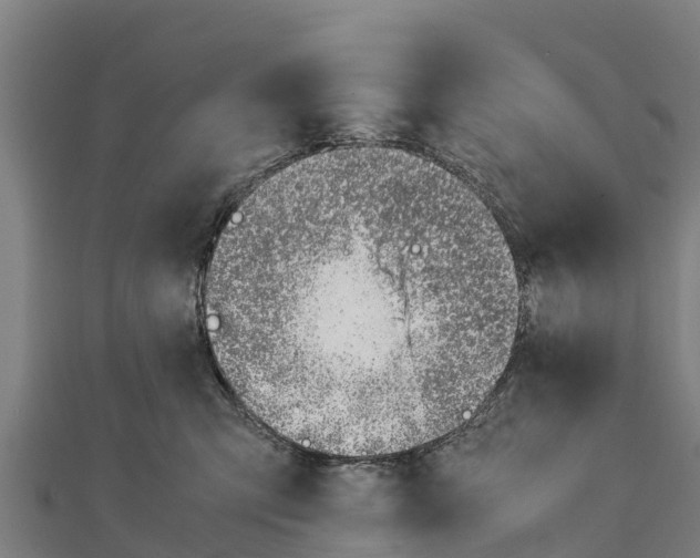 X0000111390423200908211406