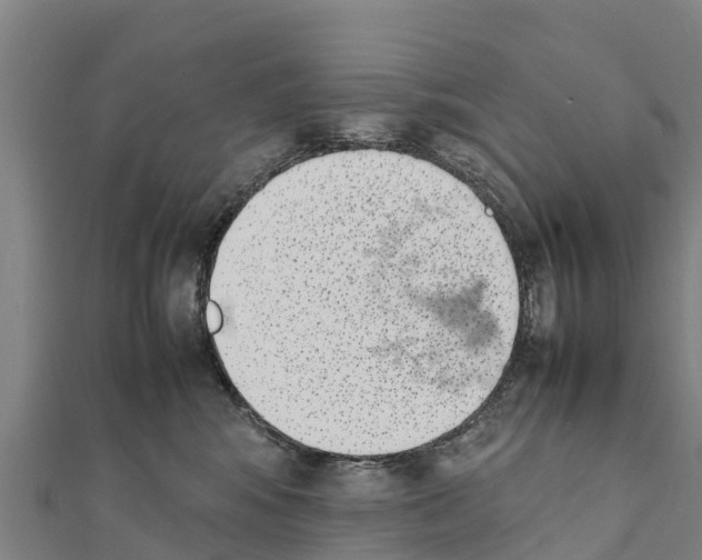 X0000111390424200908211406