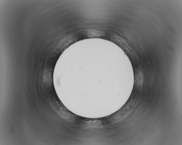 X0000111390426200908211406
