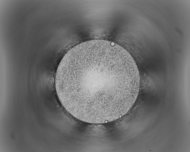 X0000111390427200908211406