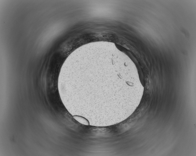 X0000111390428200908211406
