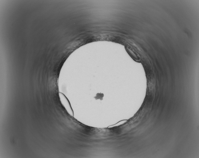 X0000111390429200908211406