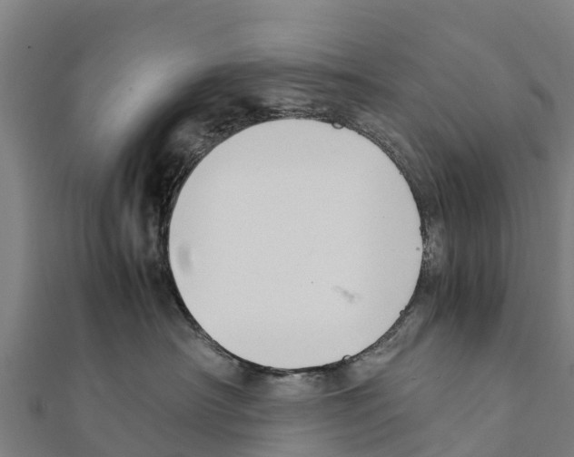 X0000111390430200908211406