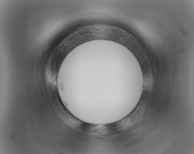 X0000111390431200908211406
