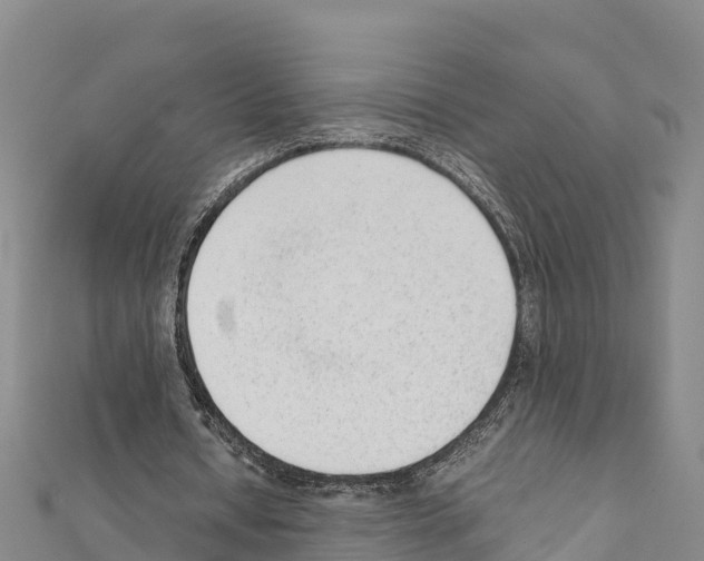 X0000111390434200908211405