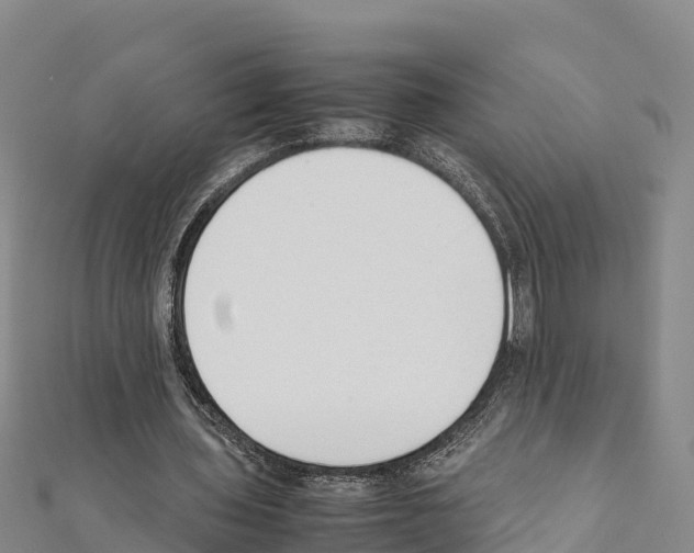 X0000111390435200908211405
