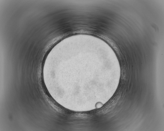 X0000111390437200908211405