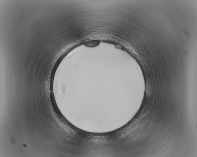 X0000111390438200908211405