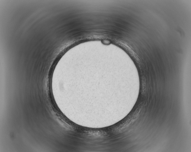 X0000111390439200908211405
